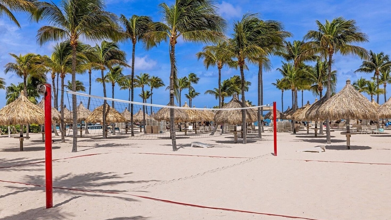 Photo of Others in Palm Beach