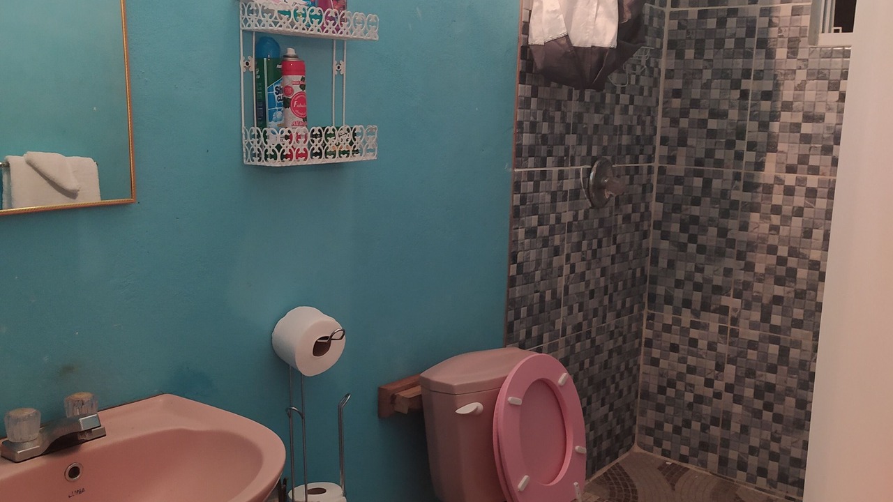 Photo of Bathroom in La Fargue