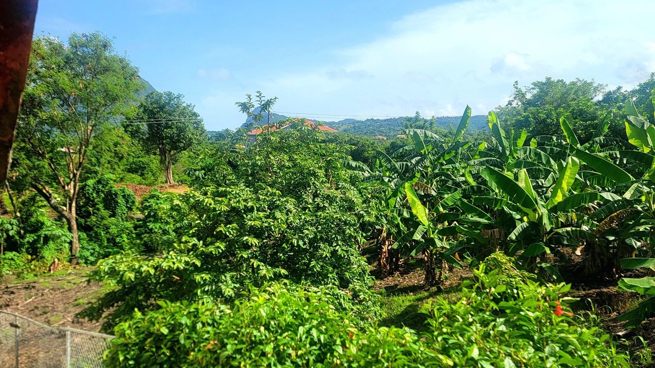 Photo of Outdoor in La Fargue