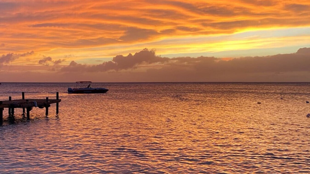 Photo of Others in Palm Beach