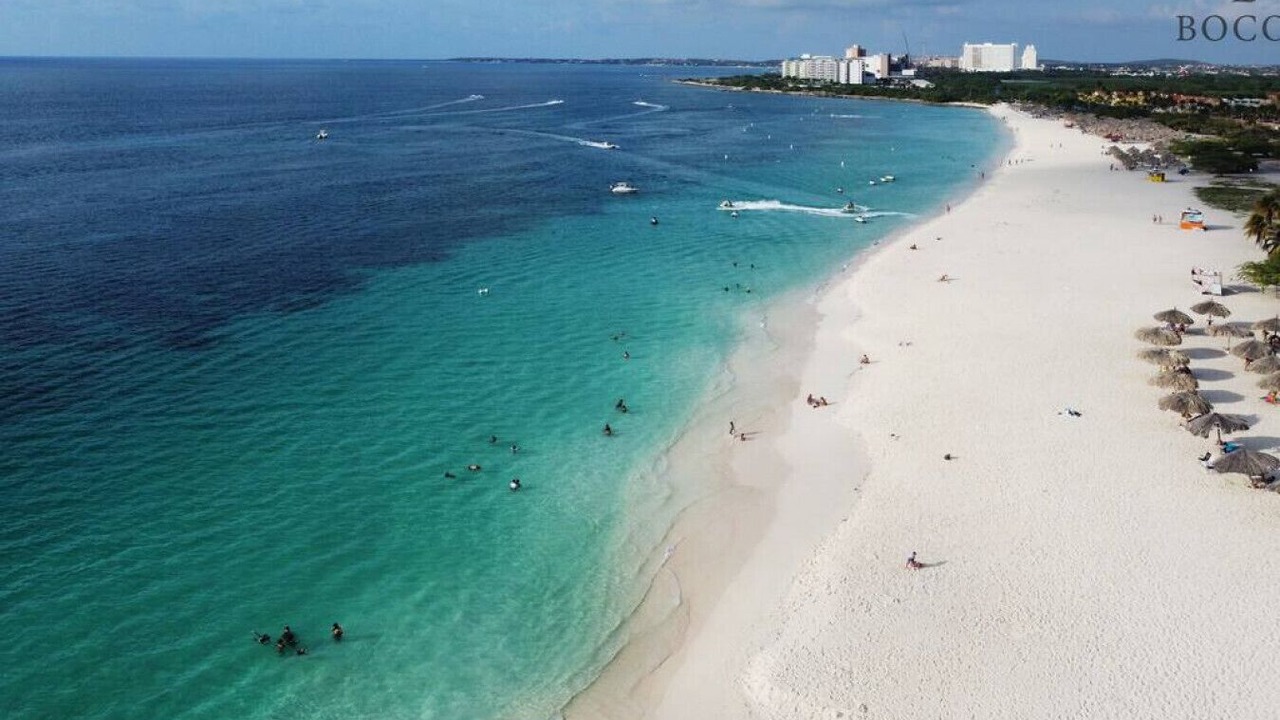 Photo of Others in Palm Beach