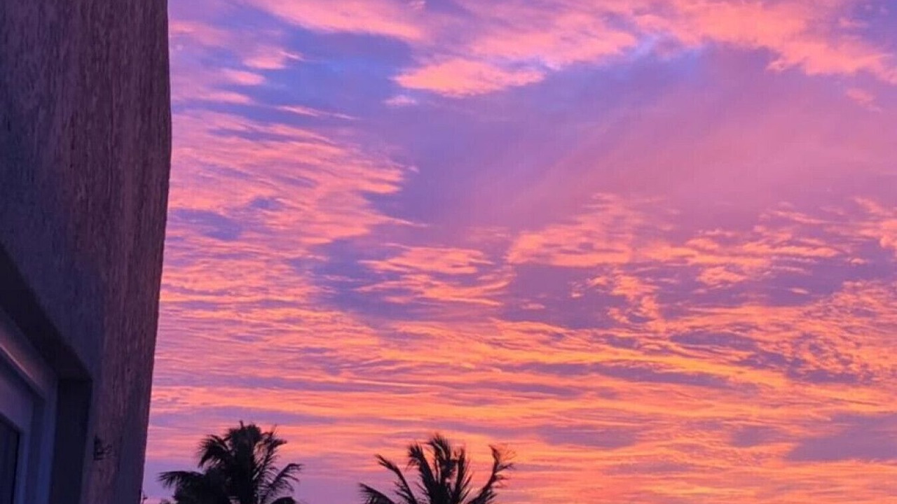 Photo of Others in Palm Beach