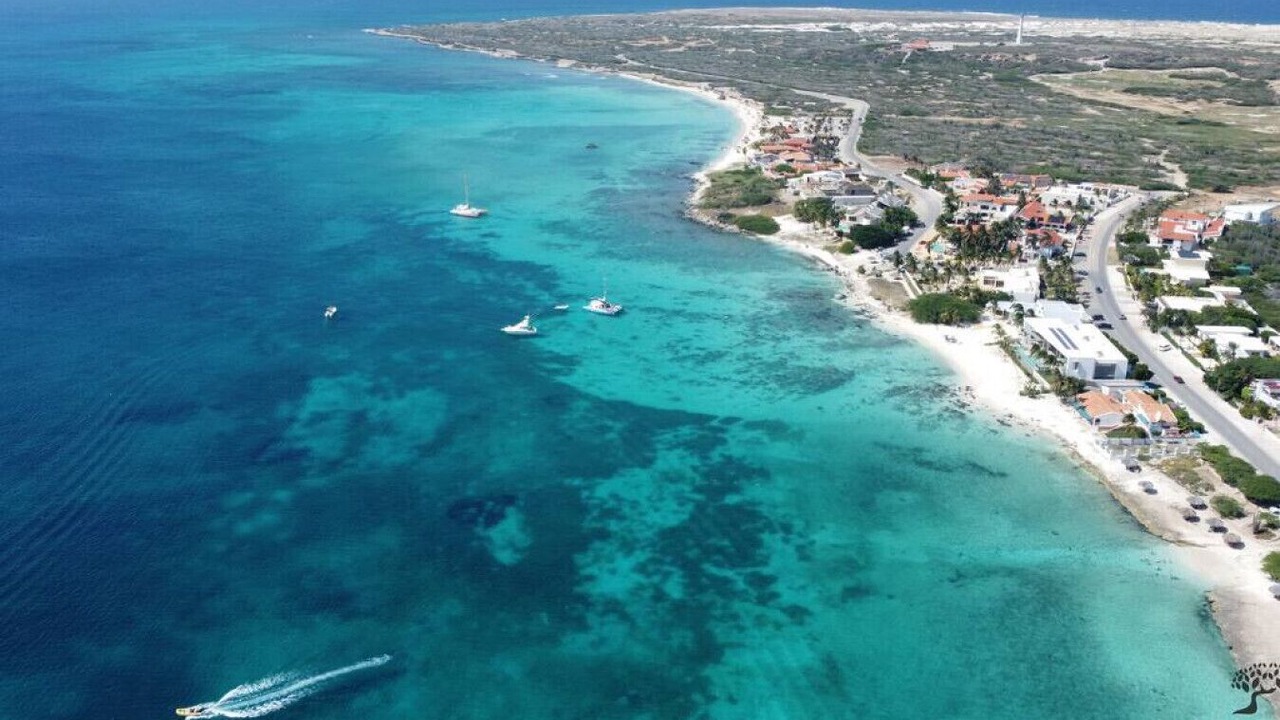Photo of Others in Palm Beach