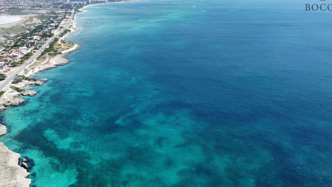 Photo of Others in Palm Beach
