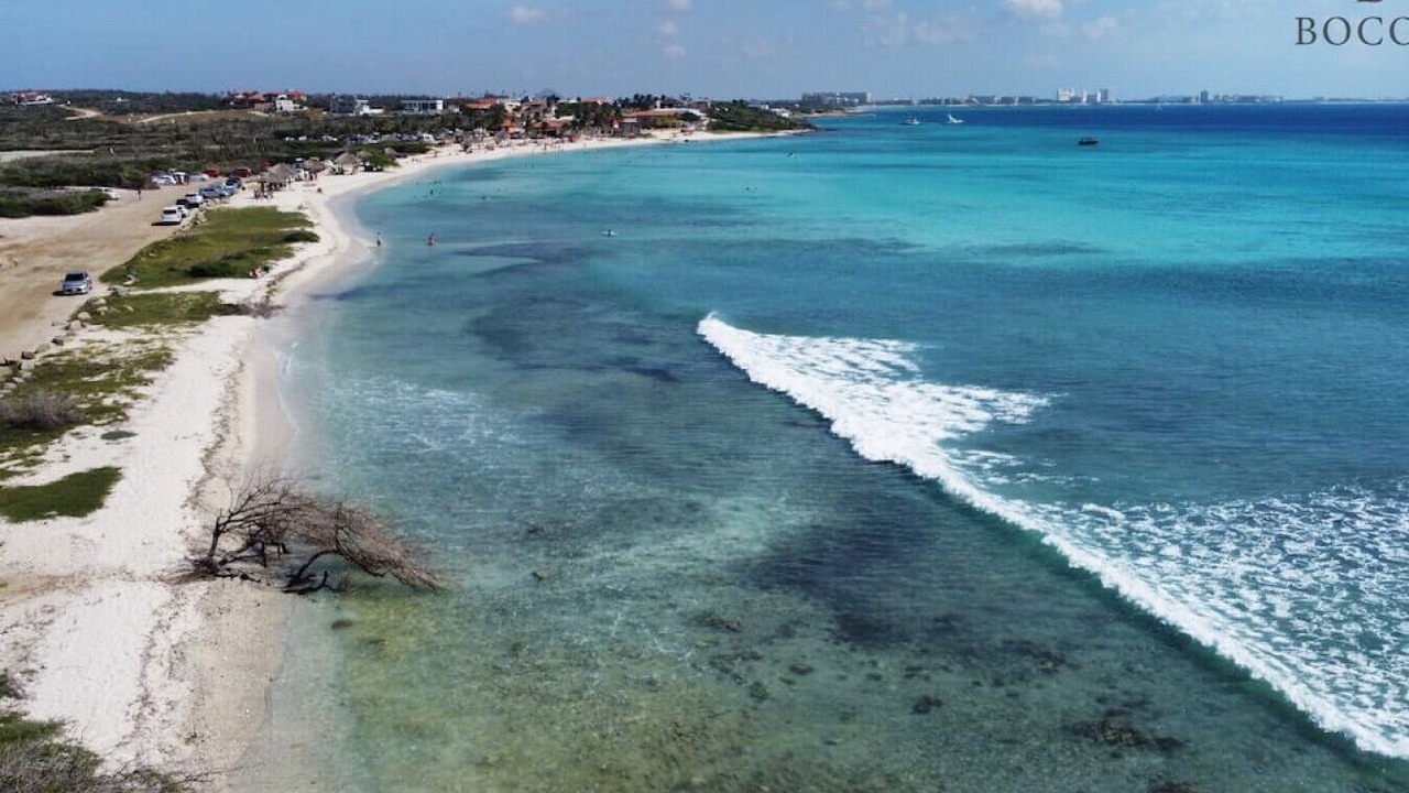 Photo of Others in Palm Beach