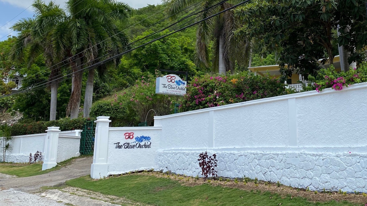 Photo of Outdoor in Montego Bay