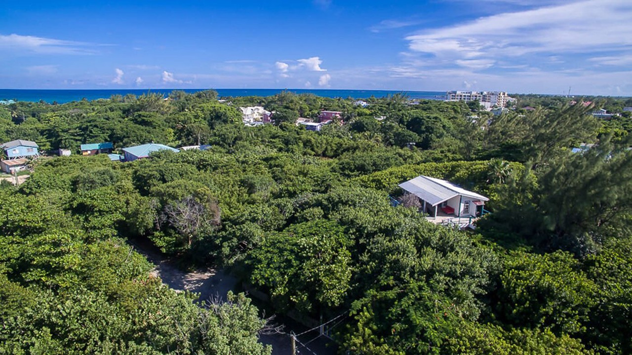 Photo of Outdoor in San Pedro