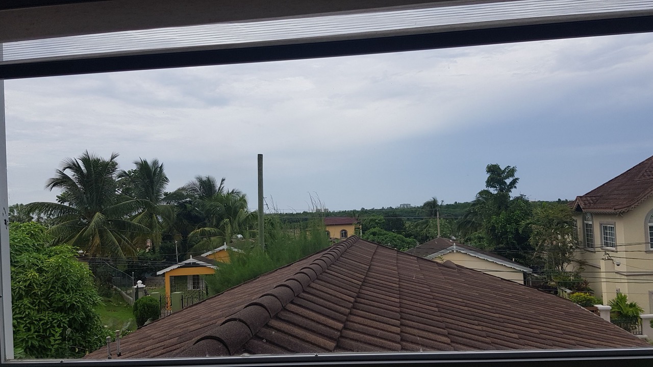 Photo of Others in Montego Bay