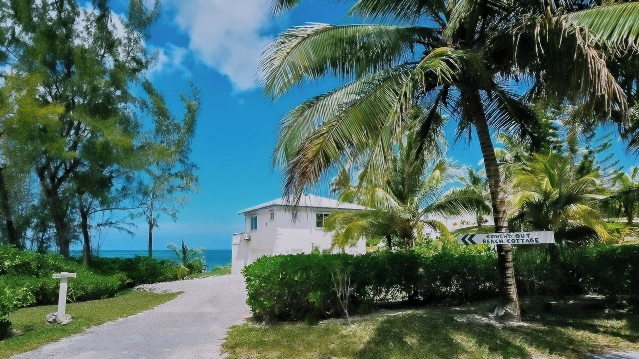 Photo of Others in North Palmetto Point