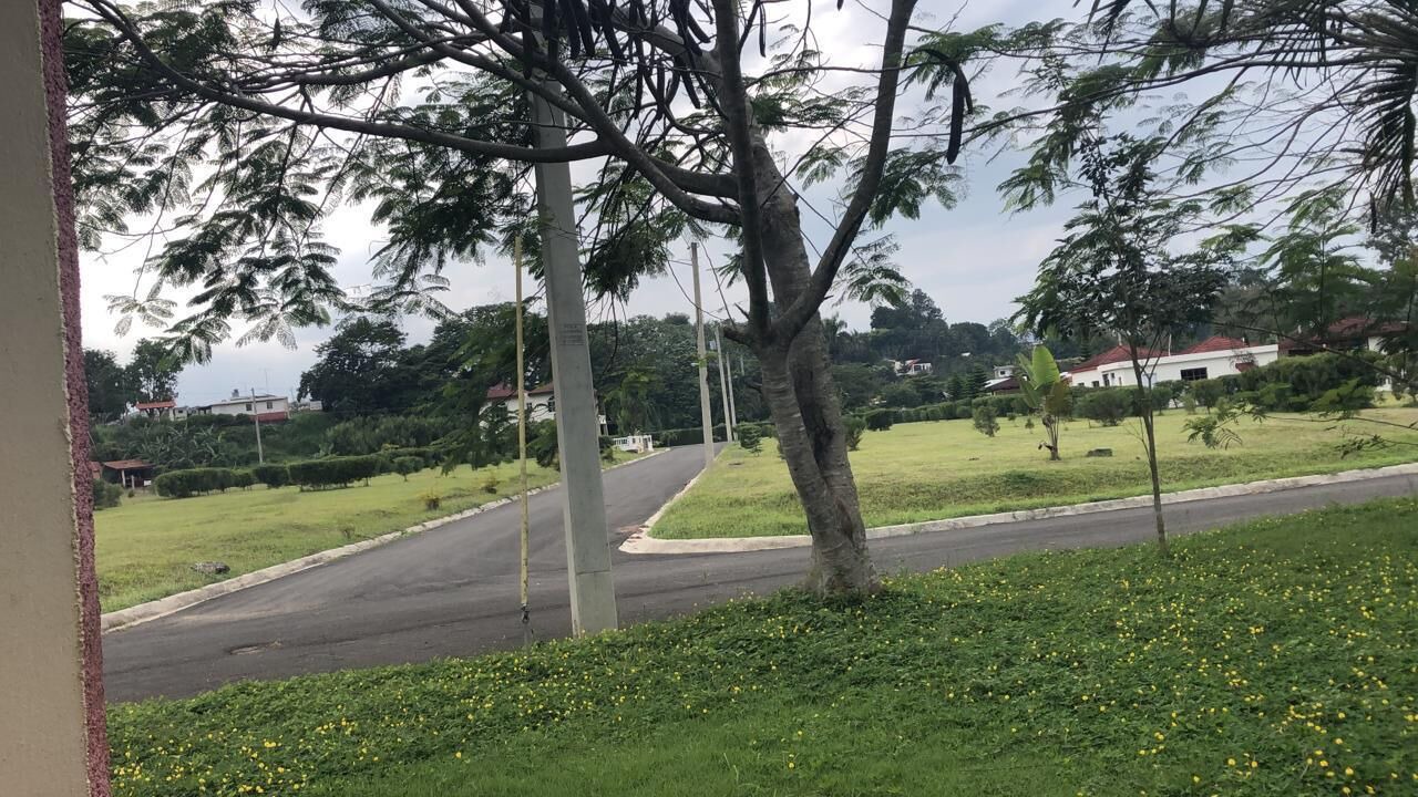 Photo of Outdoor in Jarabacoa