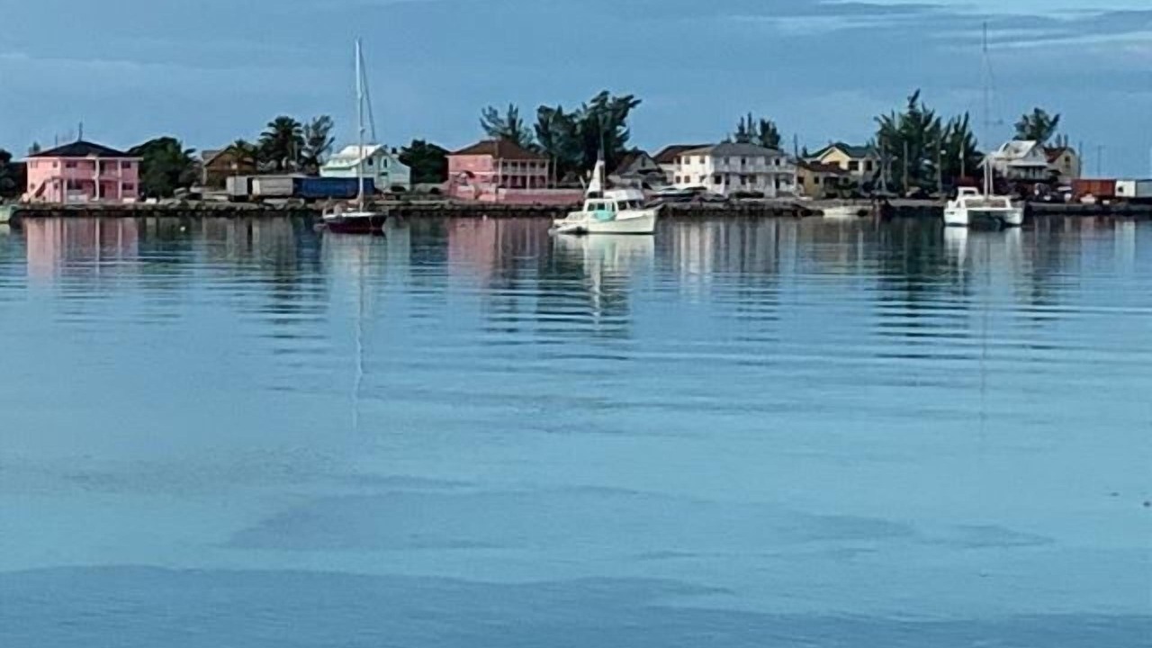 Photo of Others in Double Bay
