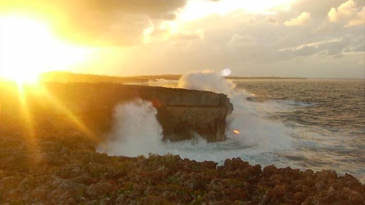 Photo of Others in Double Bay