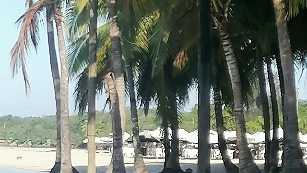 Photo of Others in Reparto Ibarra