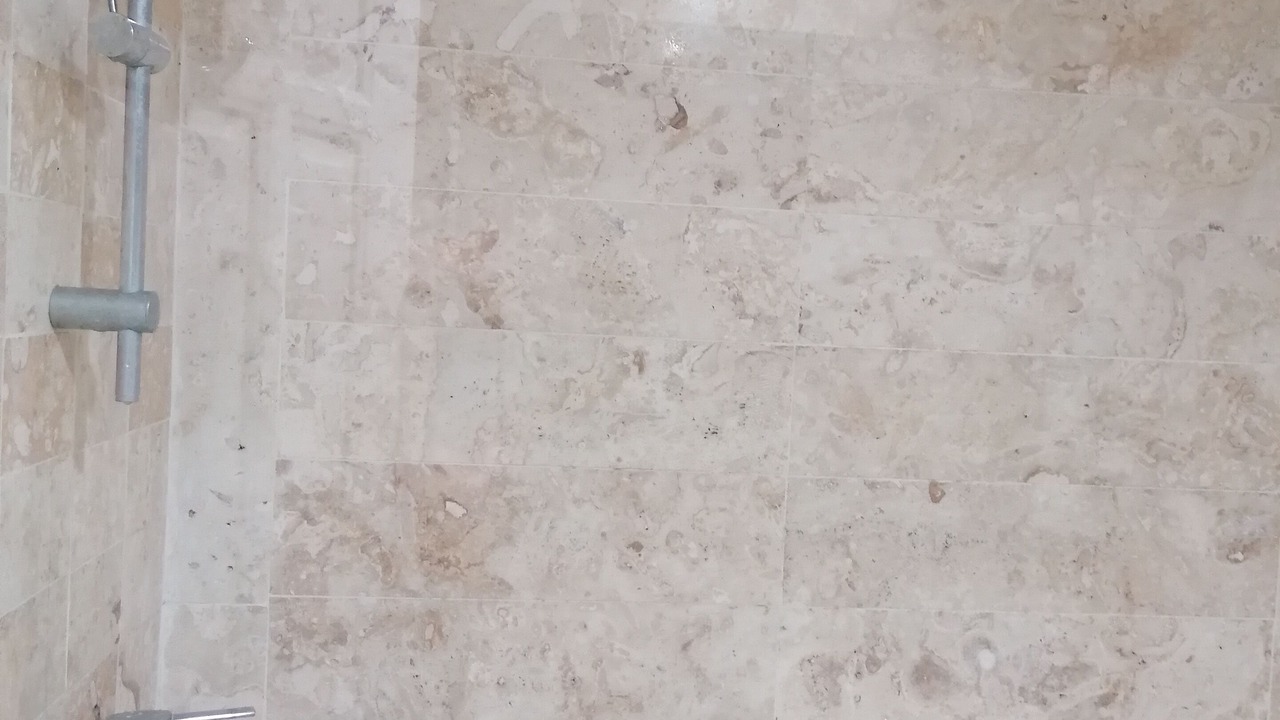Photo of Bathroom in Reparto Ibarra