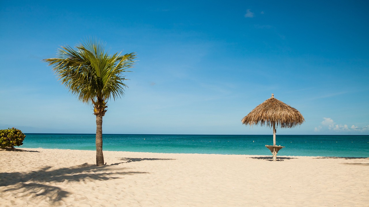 Photo of Others in Oranjestad-West