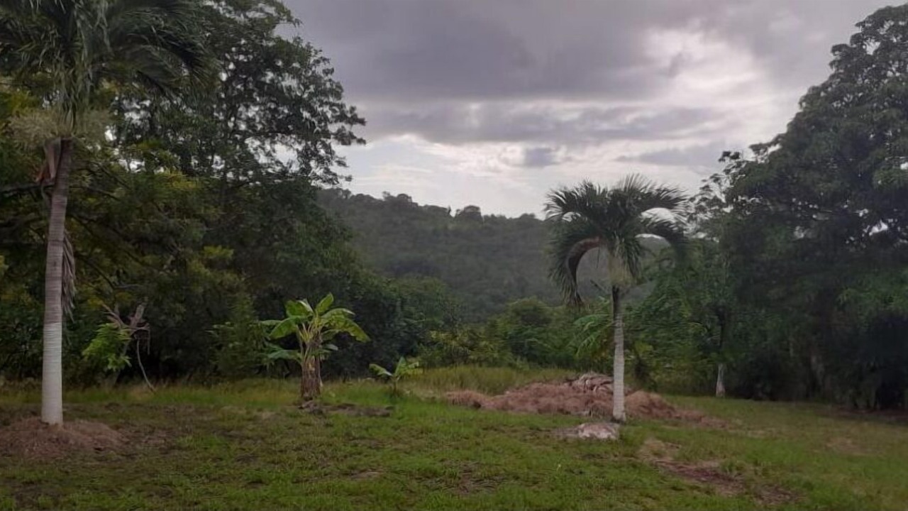 Photo of Outdoor in Anse La Raye