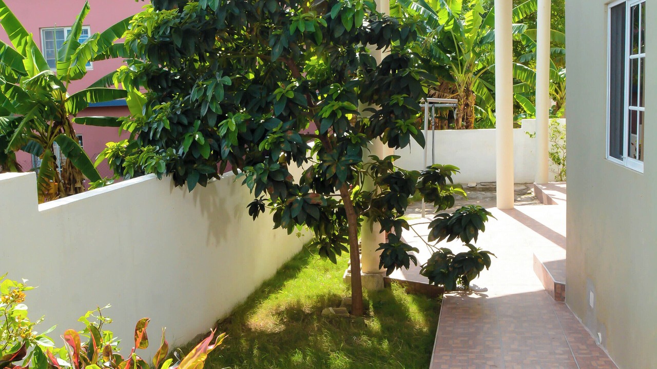 Photo of Outdoor in Runaway Bay