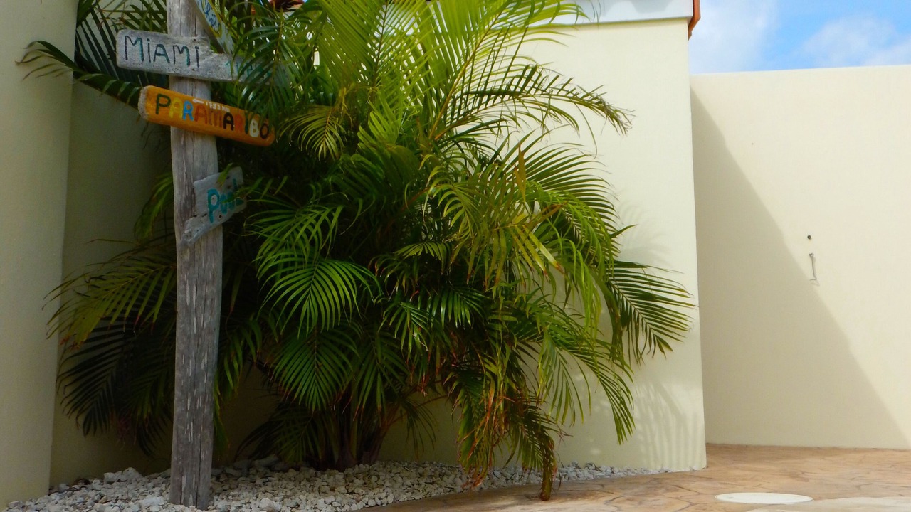 Photo of Outdoor in Oranjestad
