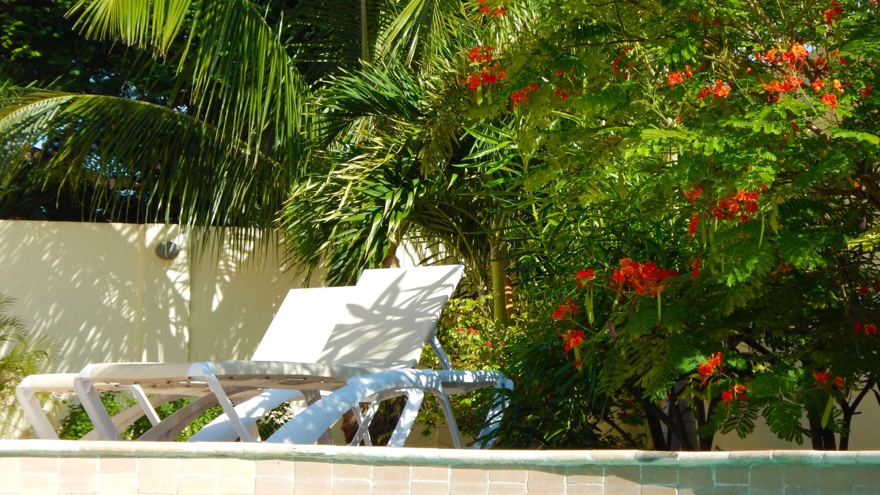 Photo of Outdoor in Oranjestad