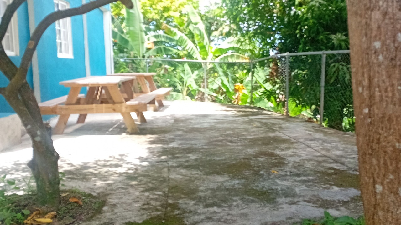 Photo of Others in Port Antonio