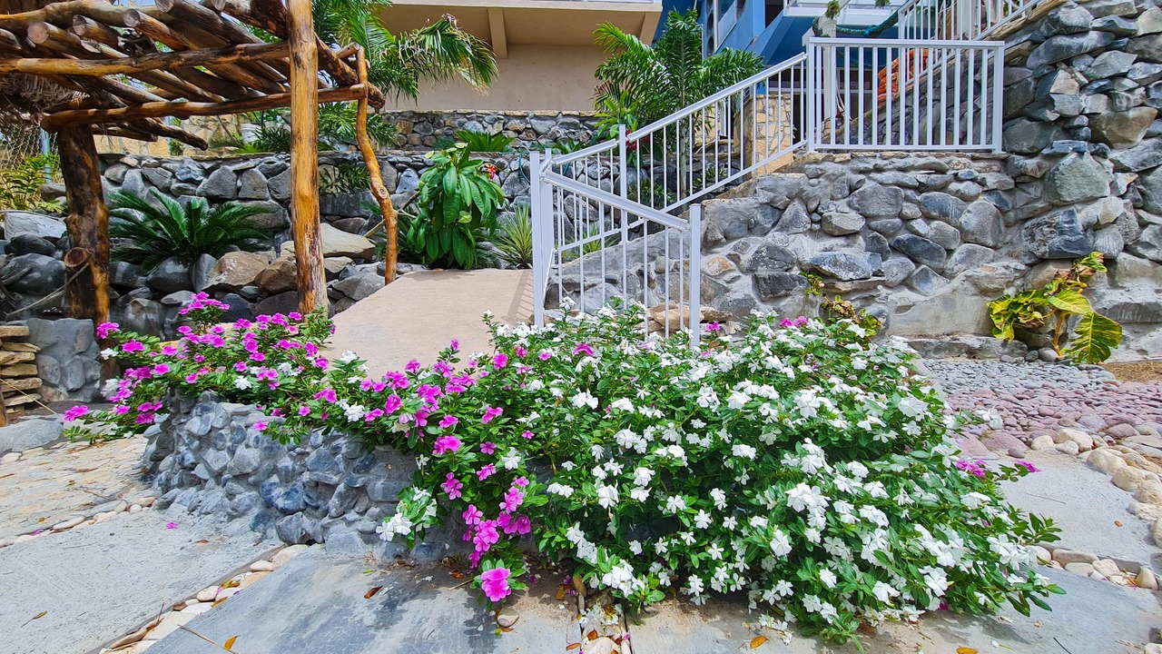 Photo of Outdoor in Argyle