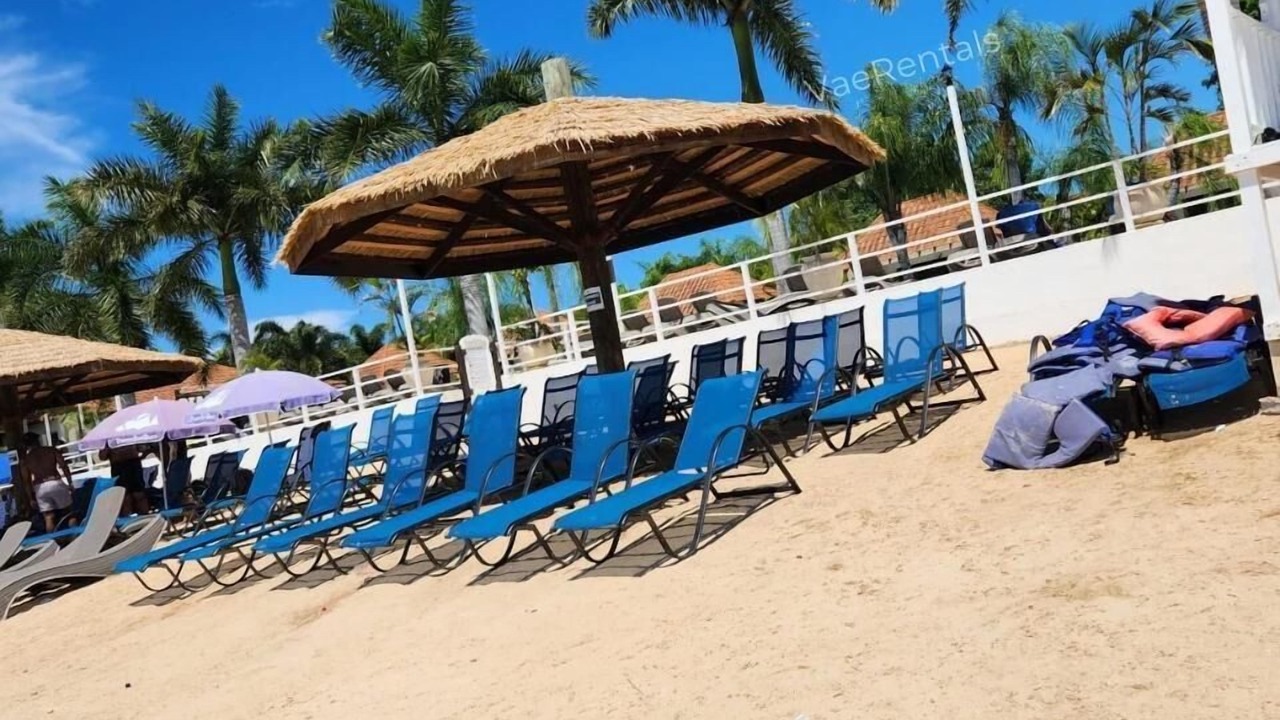 Photo of Others in Discovery Bay