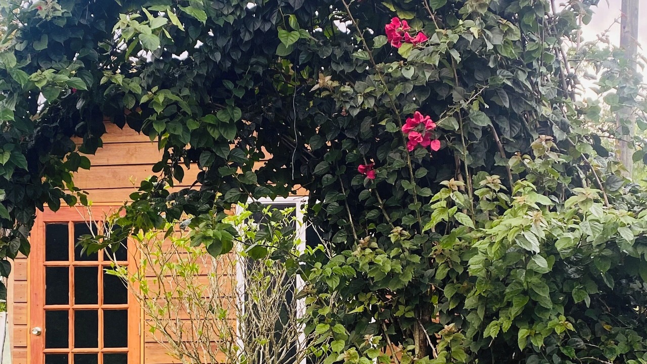 Photo of Outdoor in Middlesex