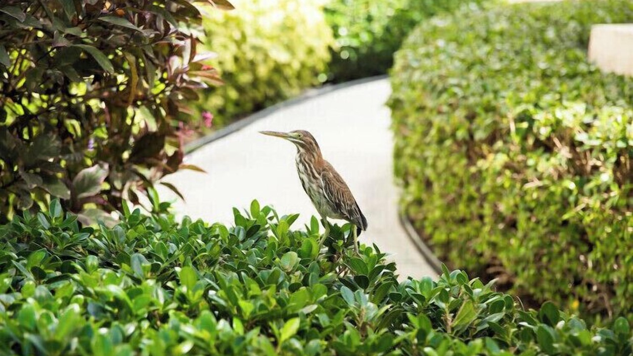 Photo of Outdoor in The Bight