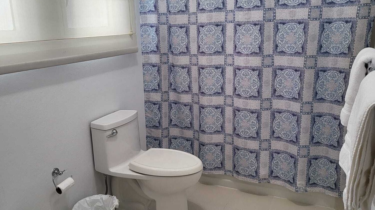 Photo of Bathroom in Mameyes II