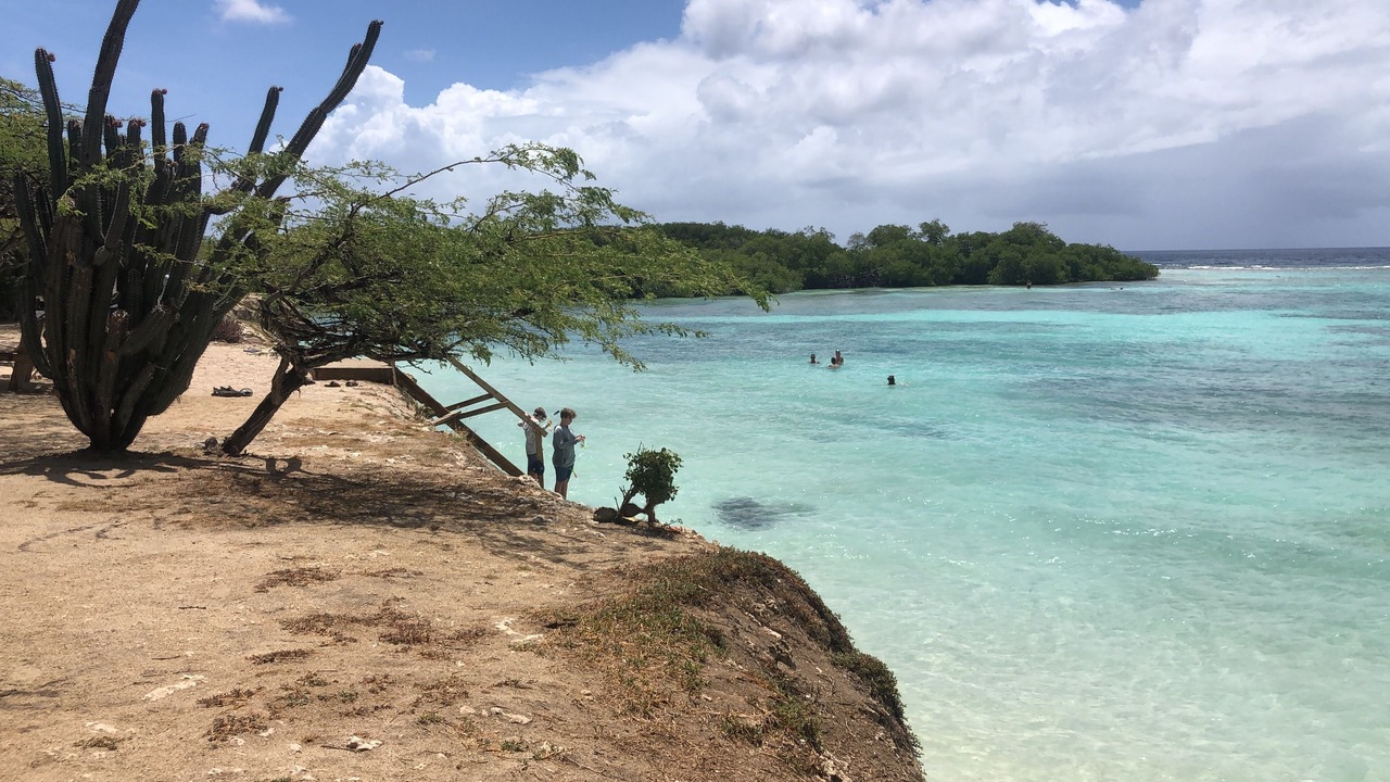 Photo of Others in Shiribana