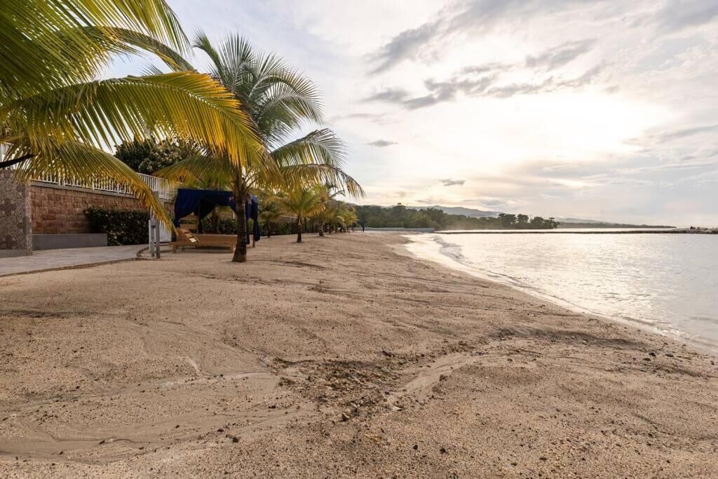 Photo of Others in St. Ann's Bay