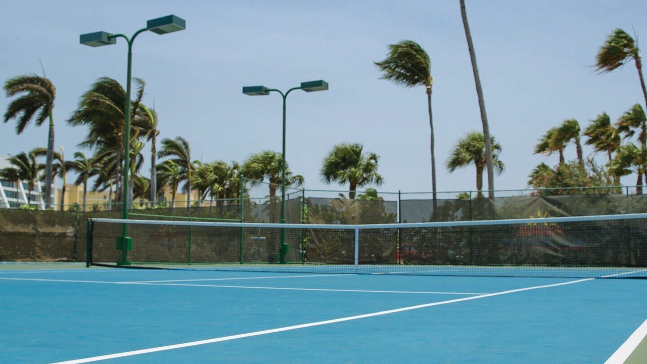 Photo of Others in Palm Beach