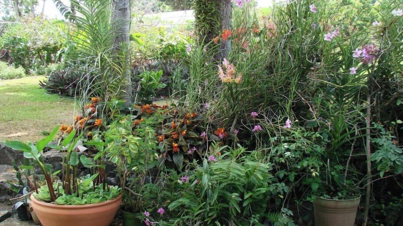 Photo of Outdoor in Calivigny