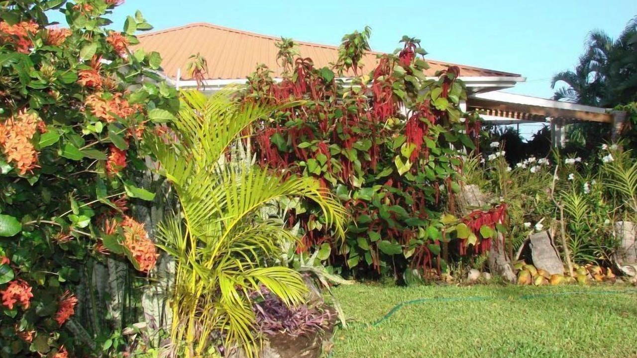 Photo of Outdoor in Calivigny