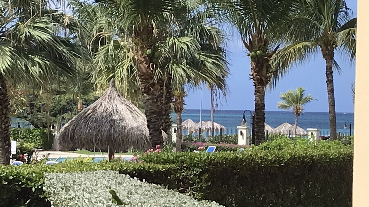 Photo of Others in Oranjestad-West