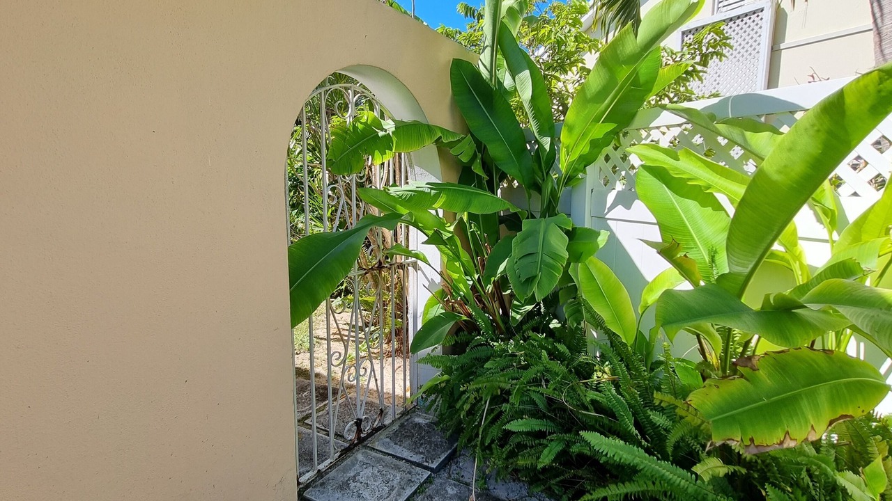 Photo of Outdoor in Nassau