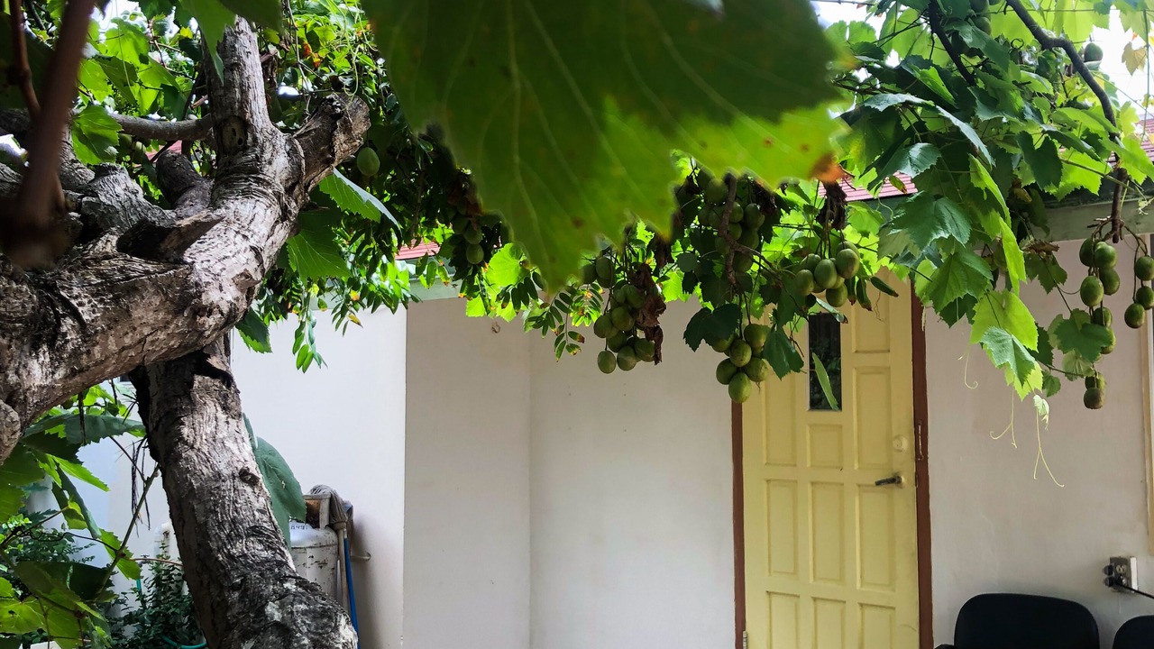 Photo of Patio Balcony in Pos Chiquito