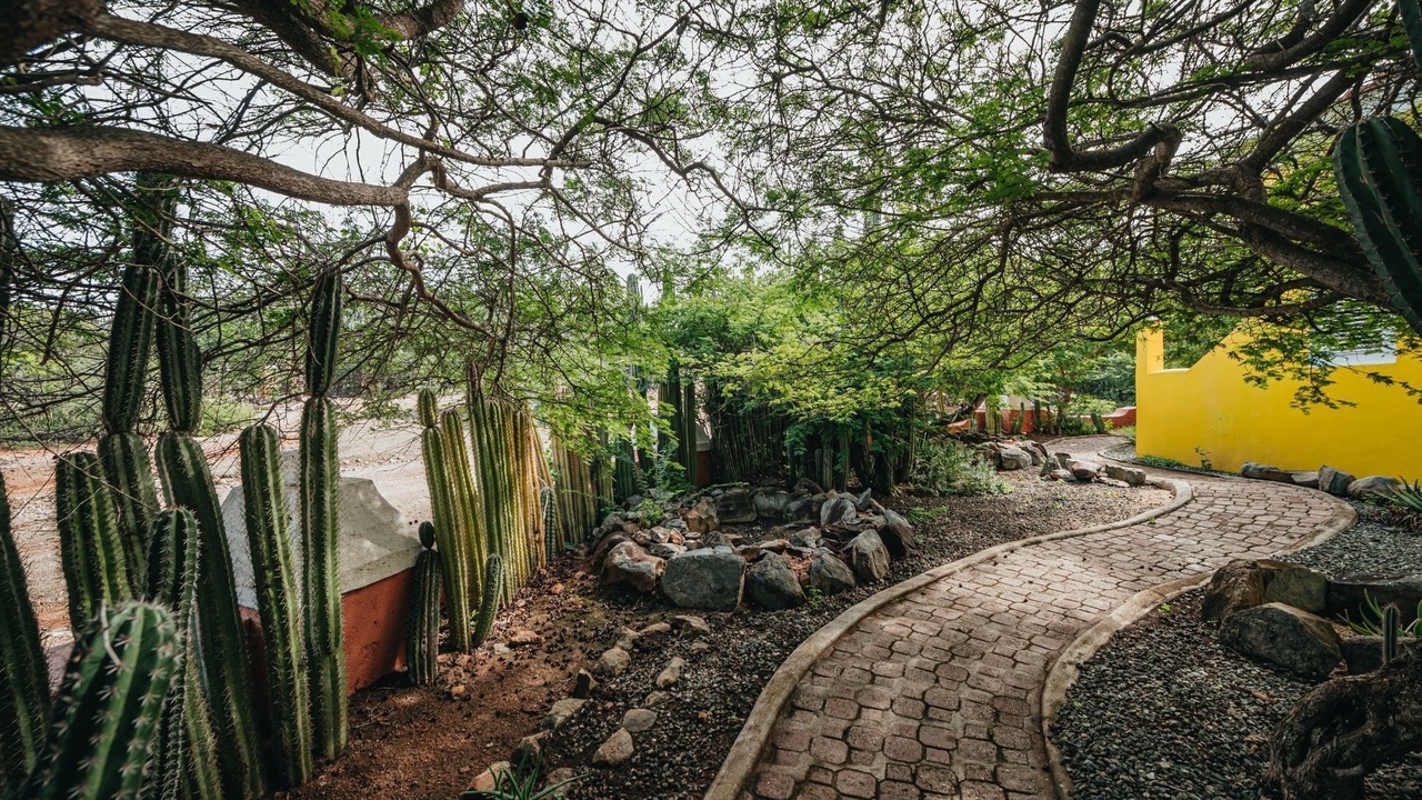Photo of Outdoor in Santa Cruz