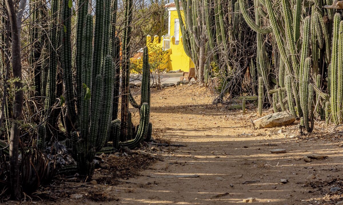 Photo of Outdoor in Santa Cruz