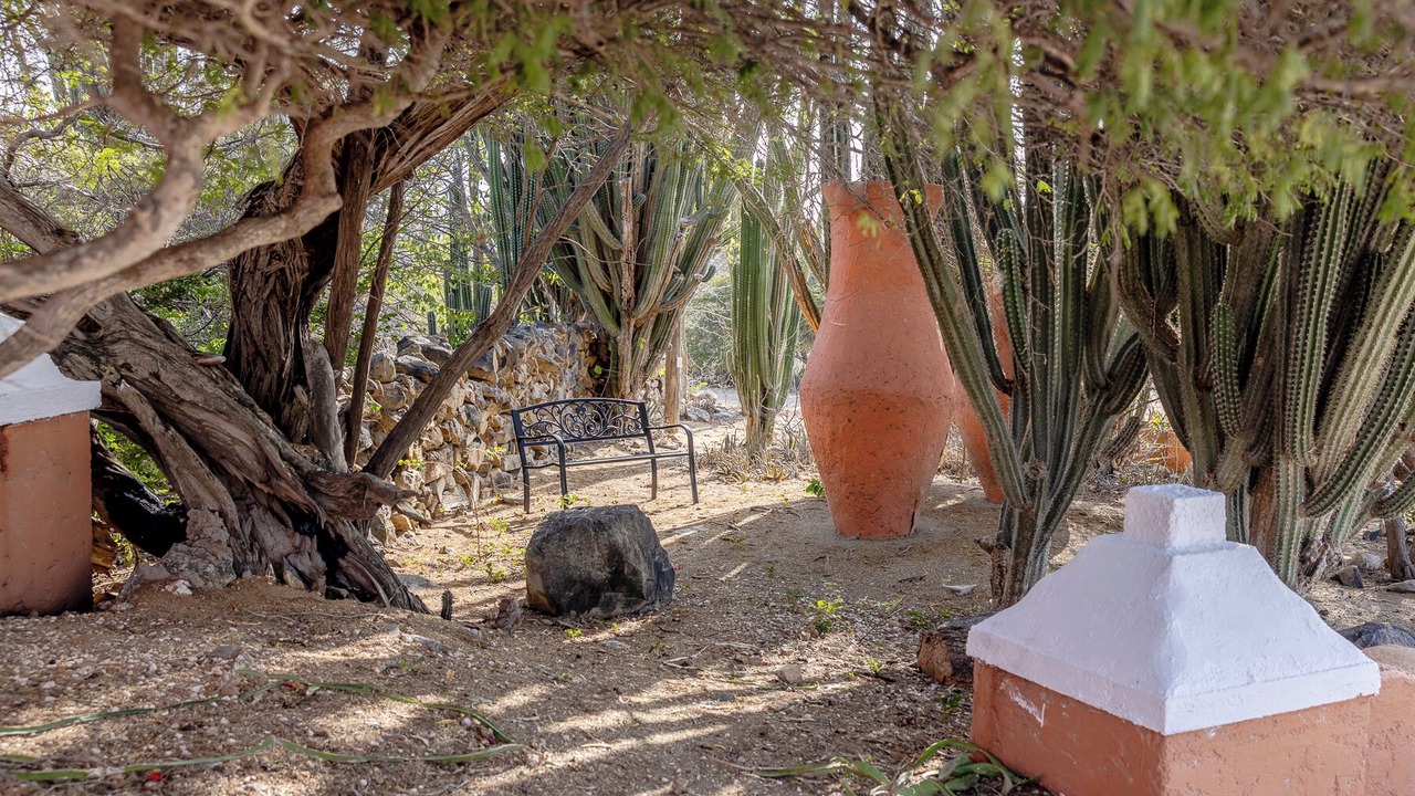 Photo of Outdoor in Santa Cruz
