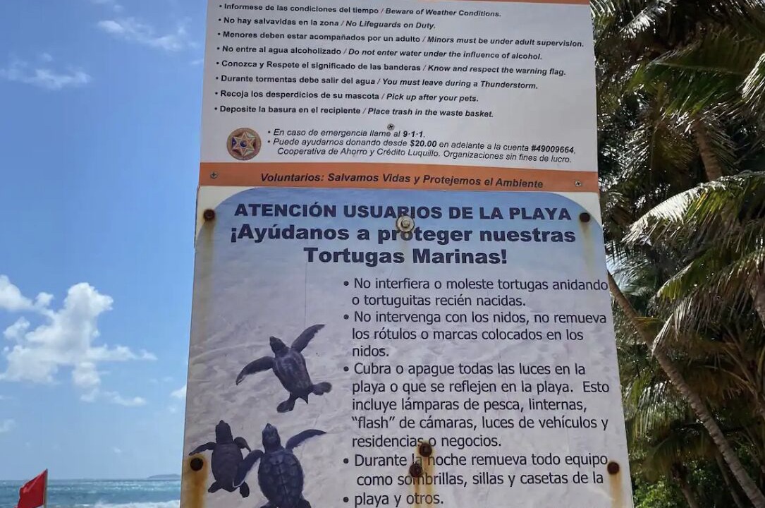 Photo of Others in La Pared