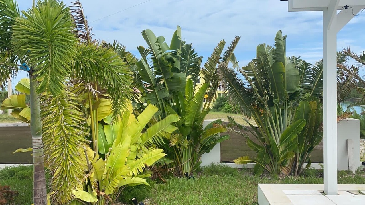Photo of Outdoor in Bahamia West