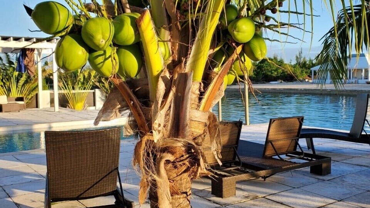Photo of Outdoor in Bahamia West