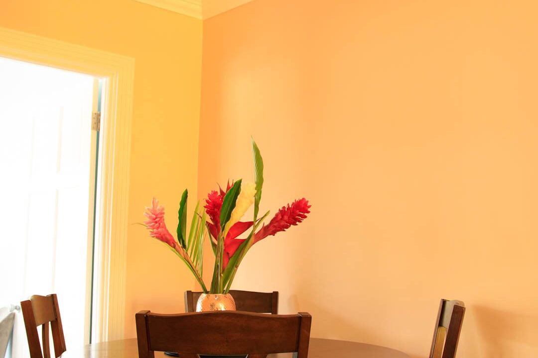 Photo of Others in Soufriere