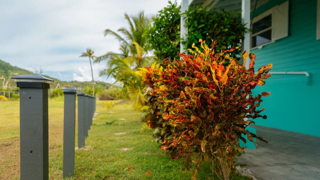 Photo of Outdoor in Hillsborough