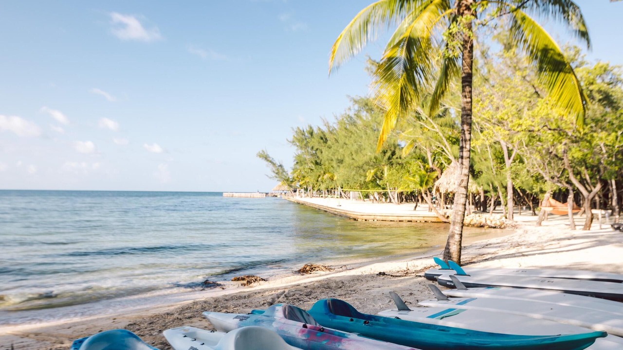 Photo of Others in Thatch Caye