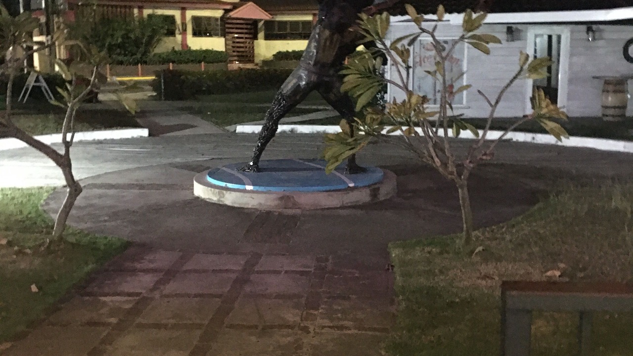 Photo of Outdoor in Montego Bay