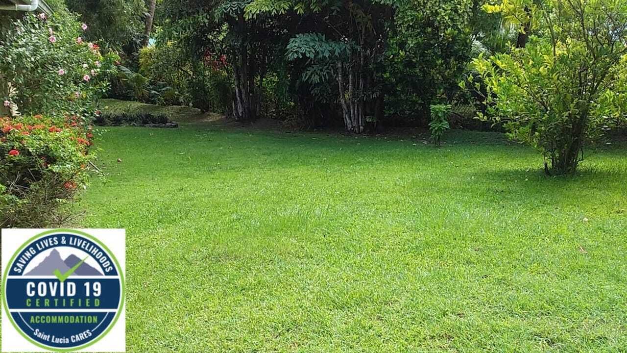 Photo of Outdoor in Balata