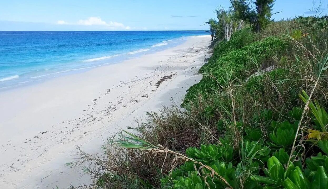 Photo of Others in Great Guana Cay