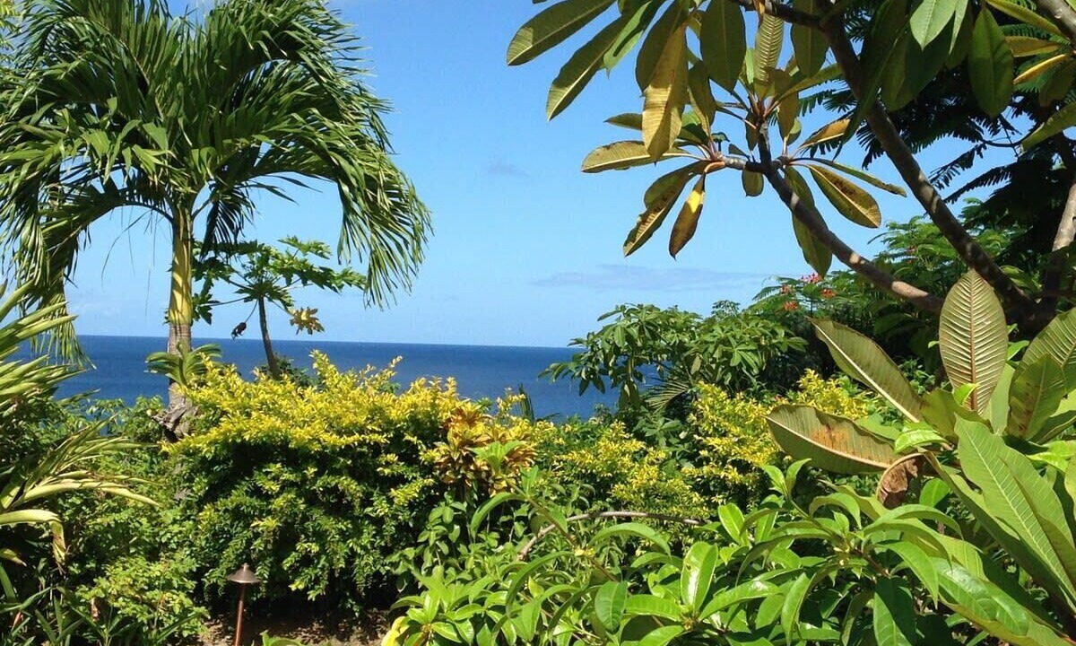 Photo of Outdoor in Marigot Bay
